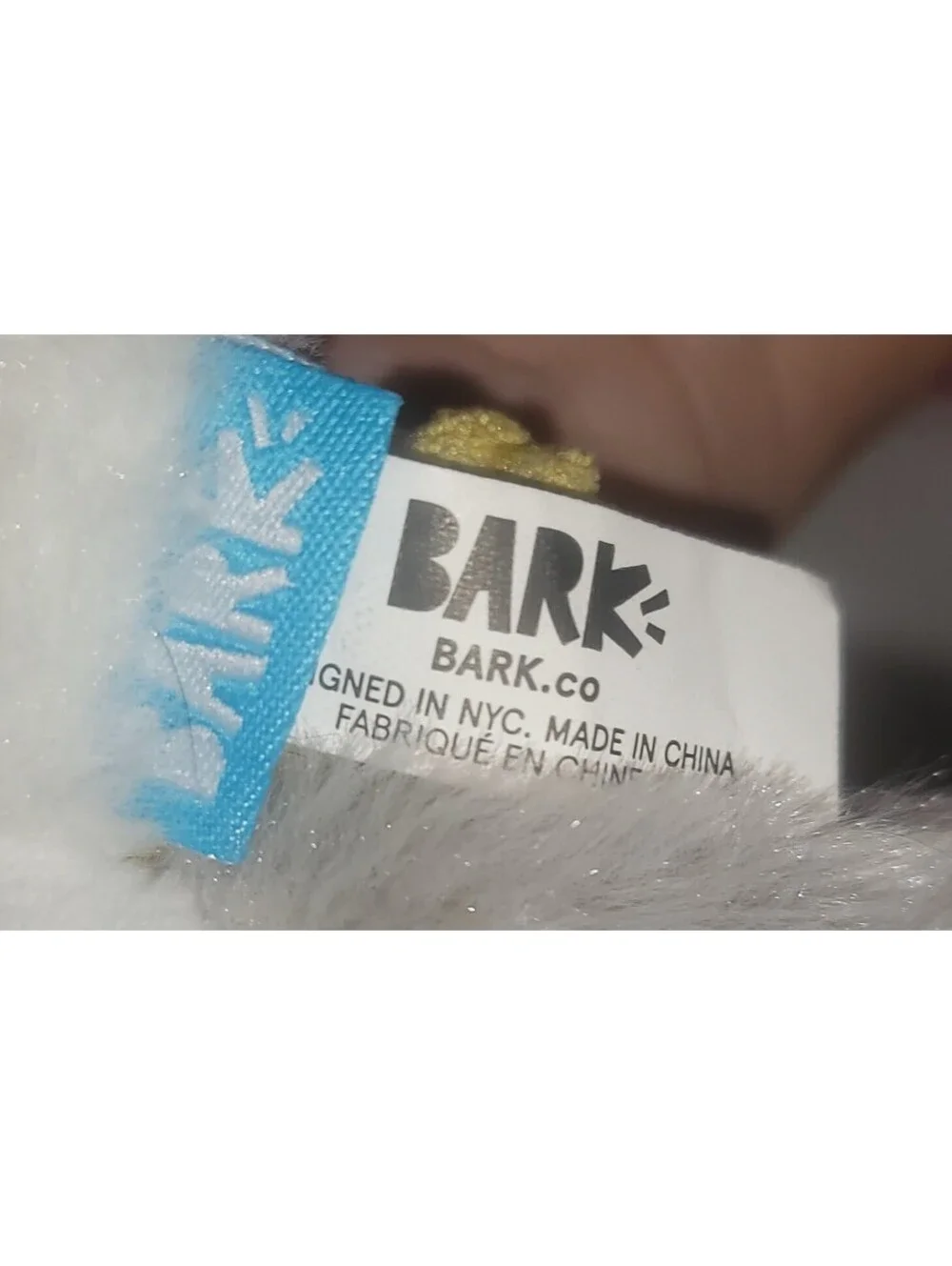 Barkbox seagull bird